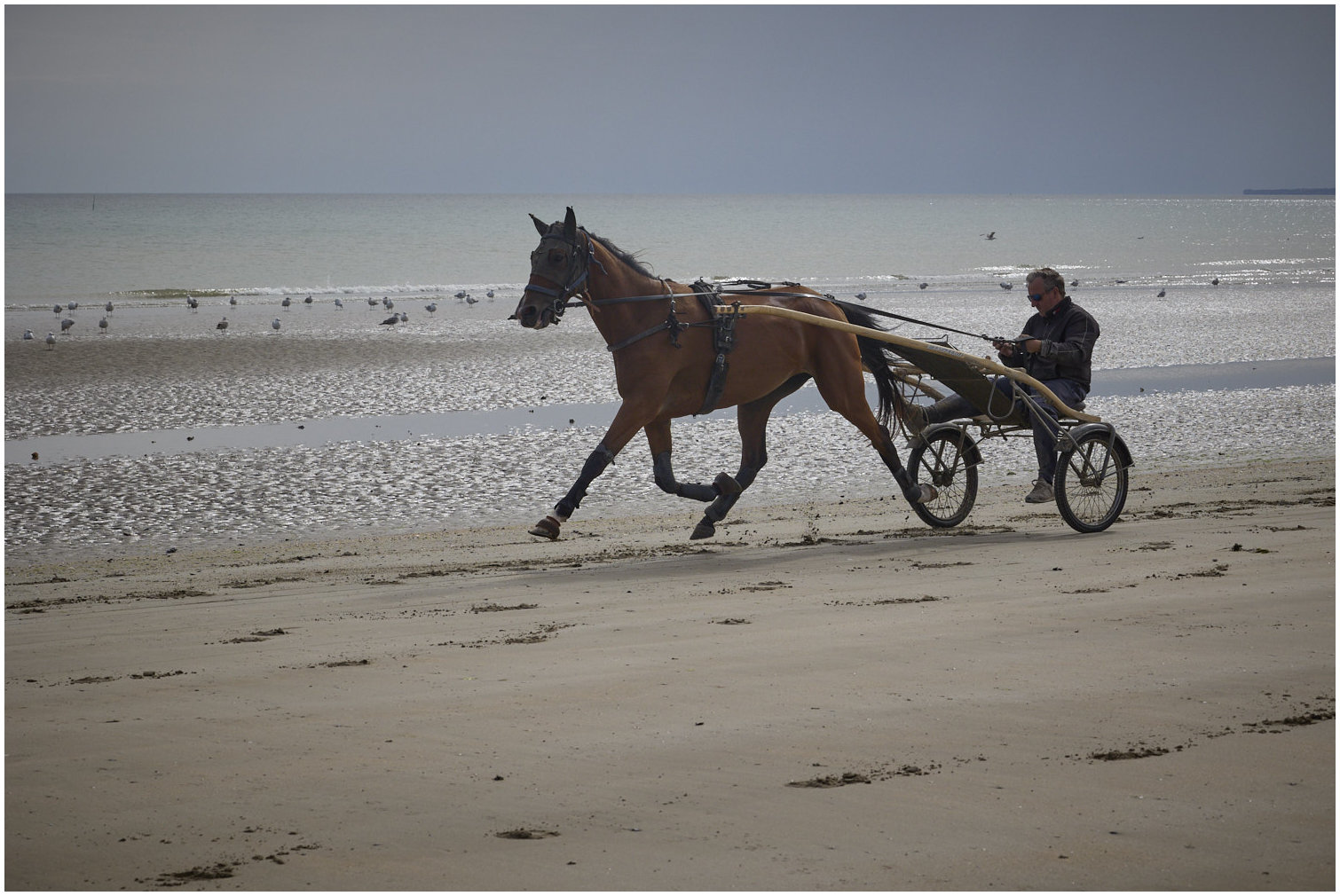 Cotentin11