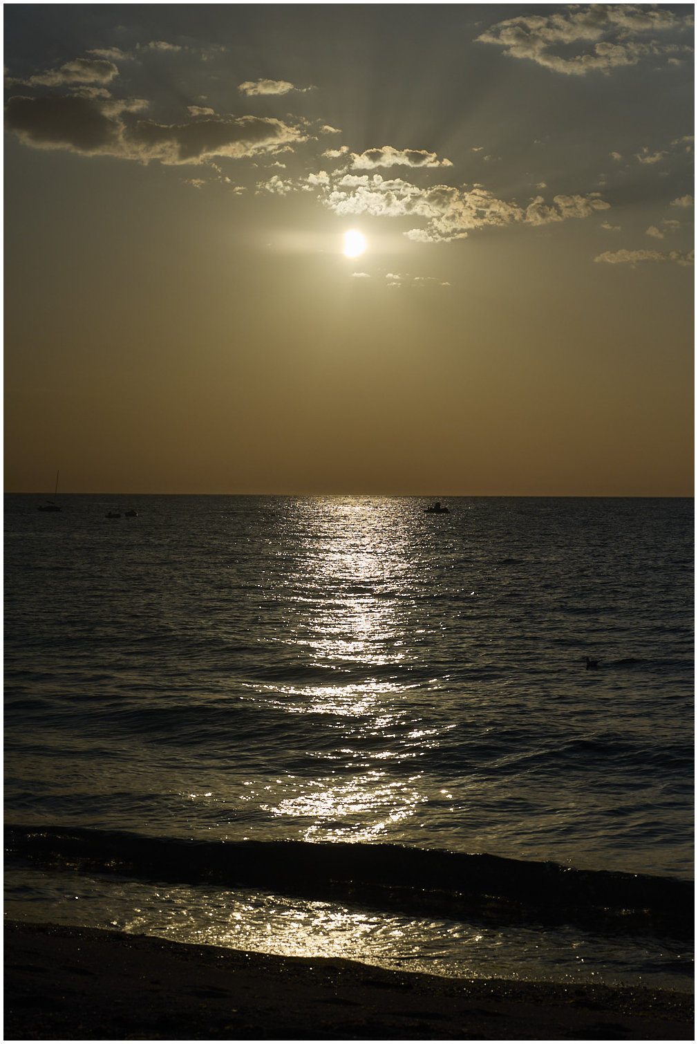 Cotentin17