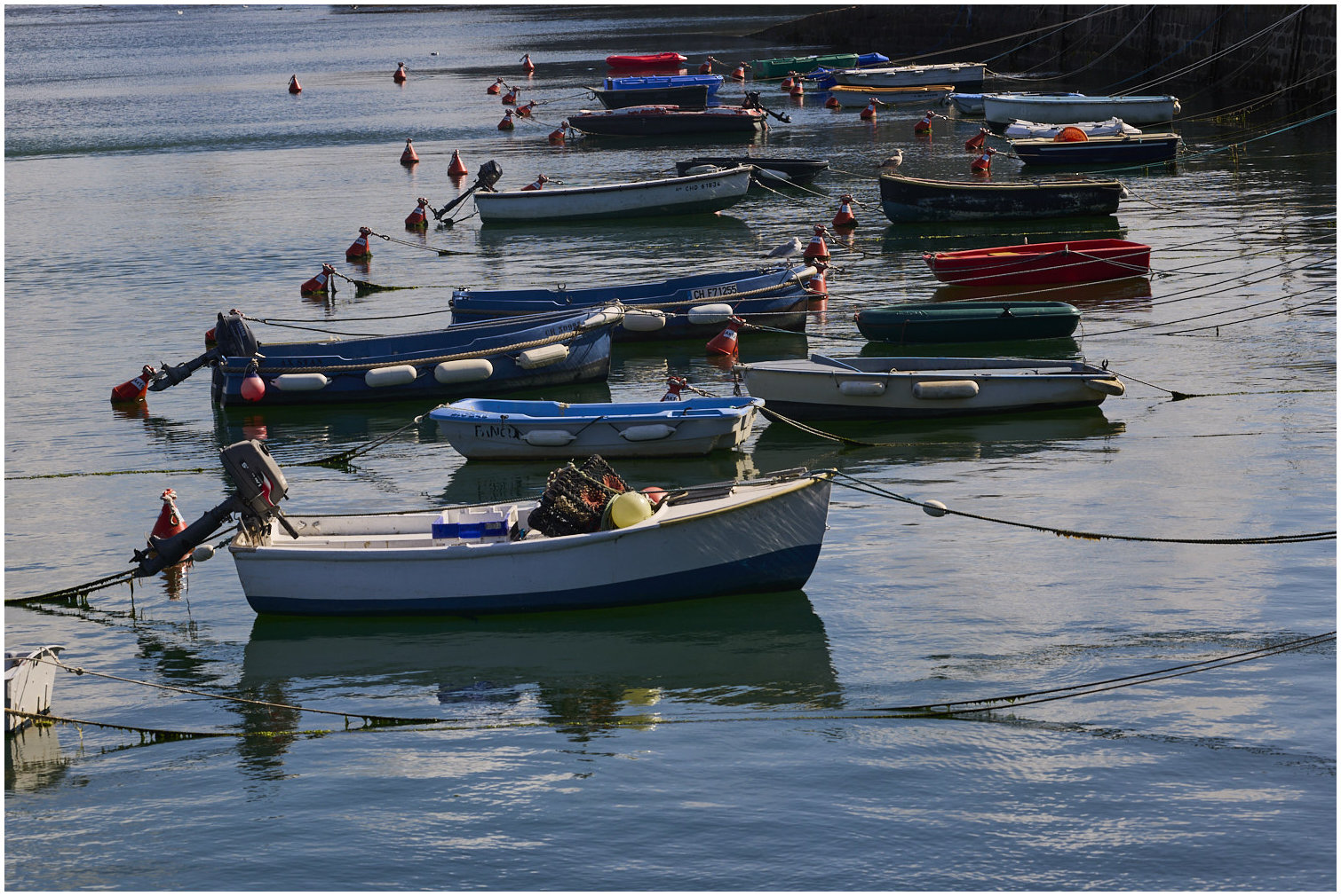 Cotentin40