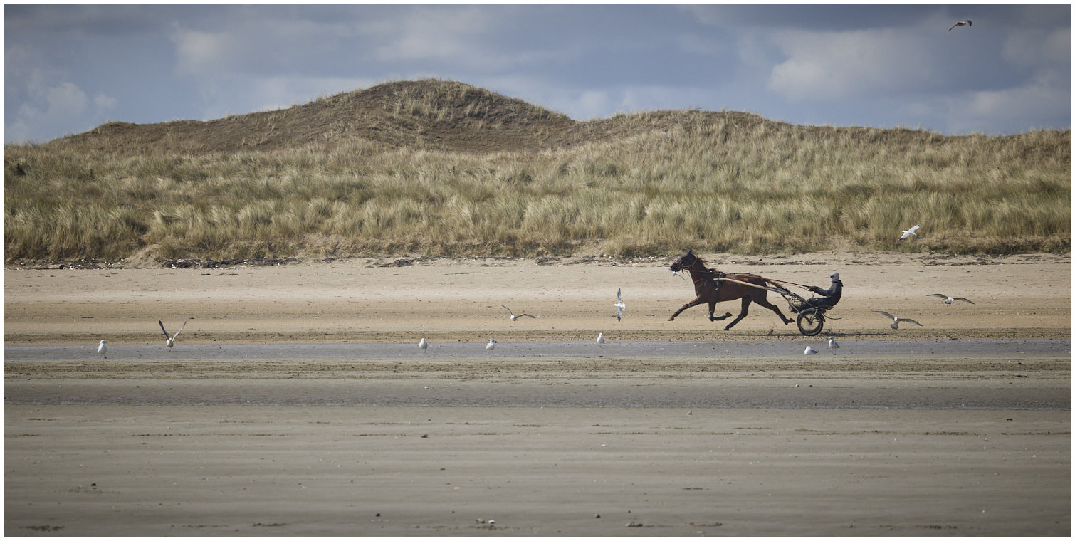 Cotentin41