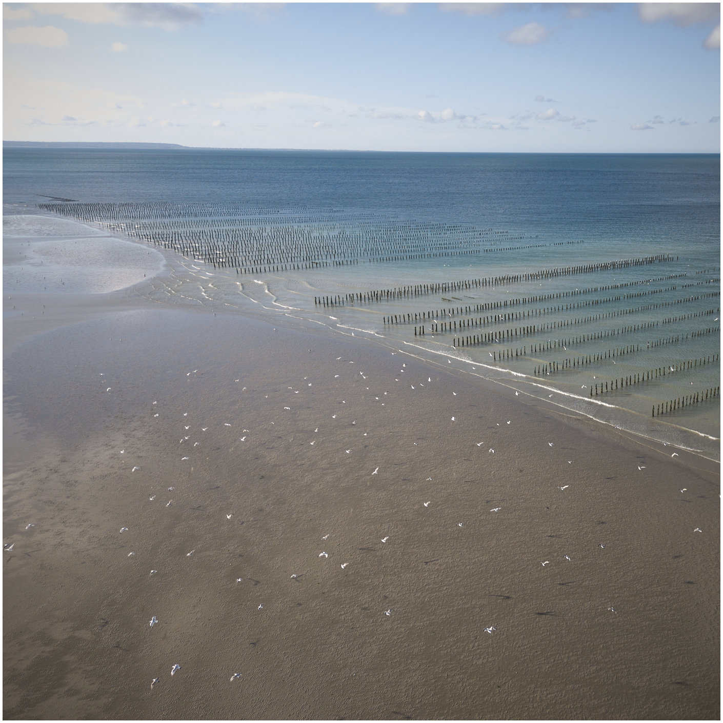Cotentin51