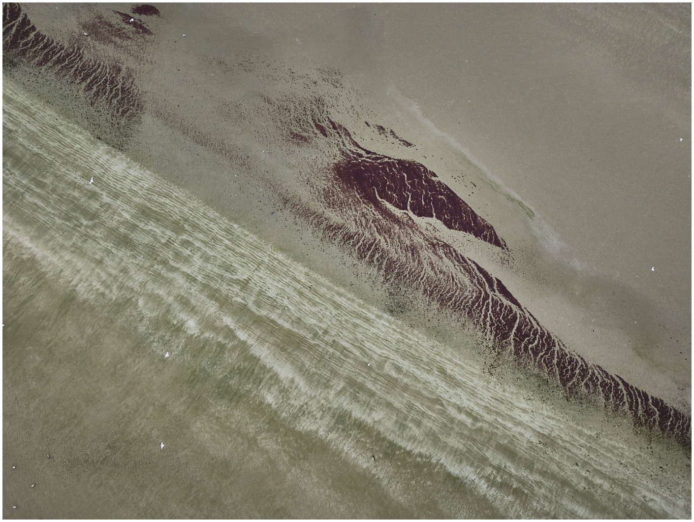 Cotentin73
